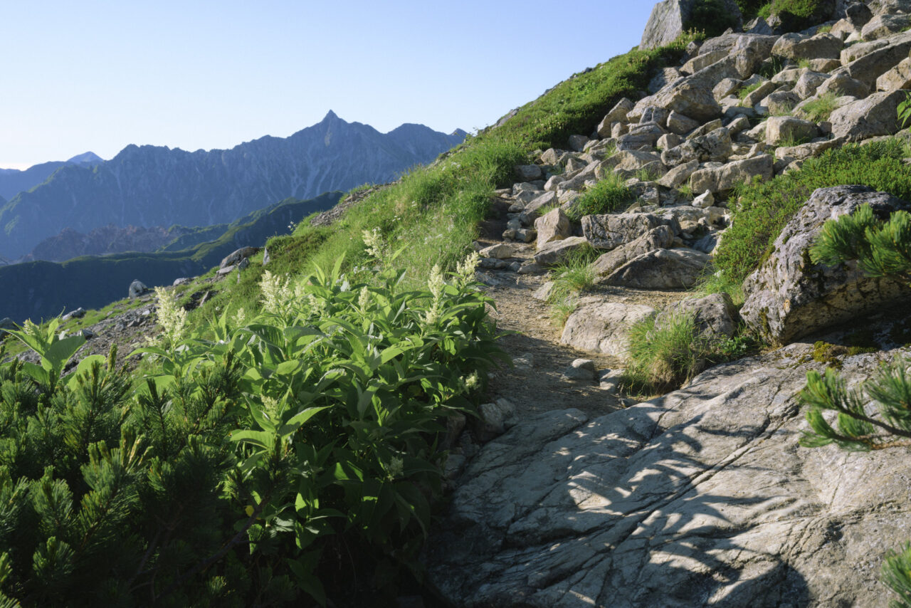 三俣蓮華岳の登山道