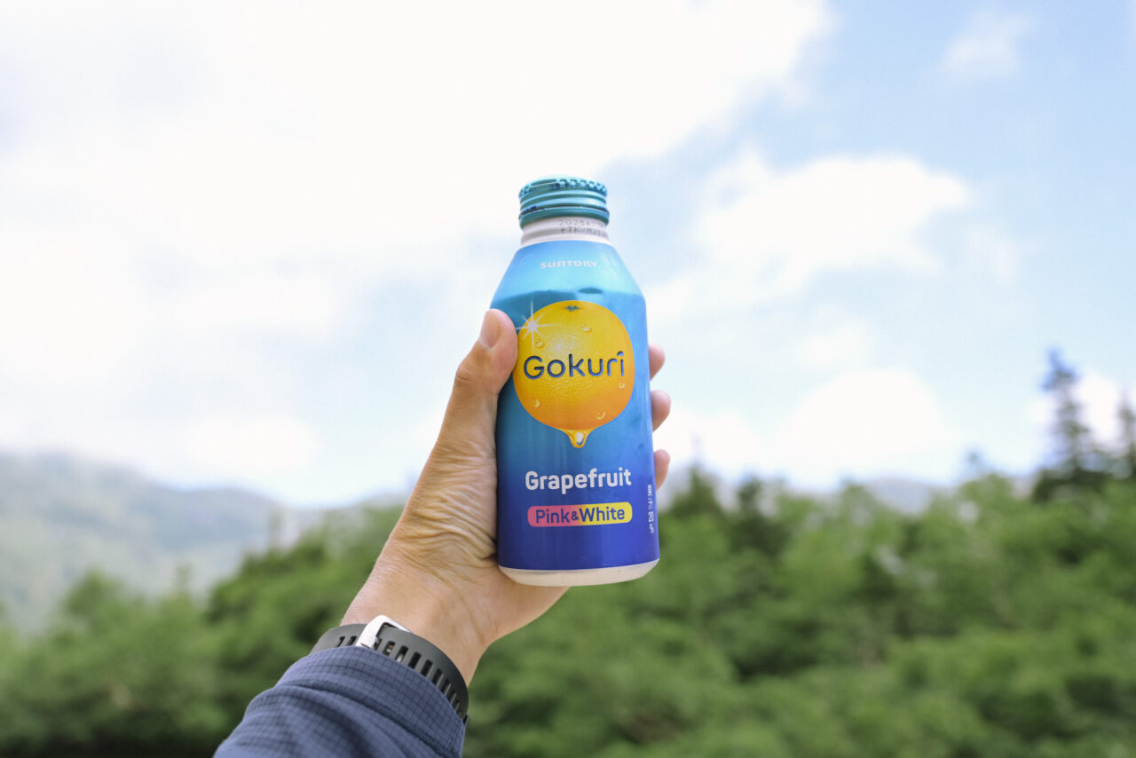 山荘で購入したGokuri