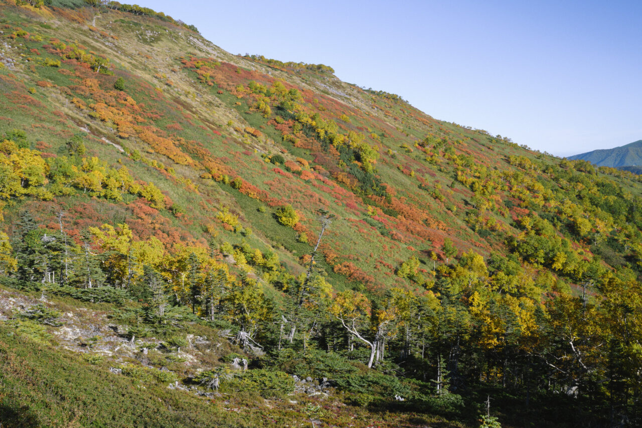 紅葉した赤岳の山肌
