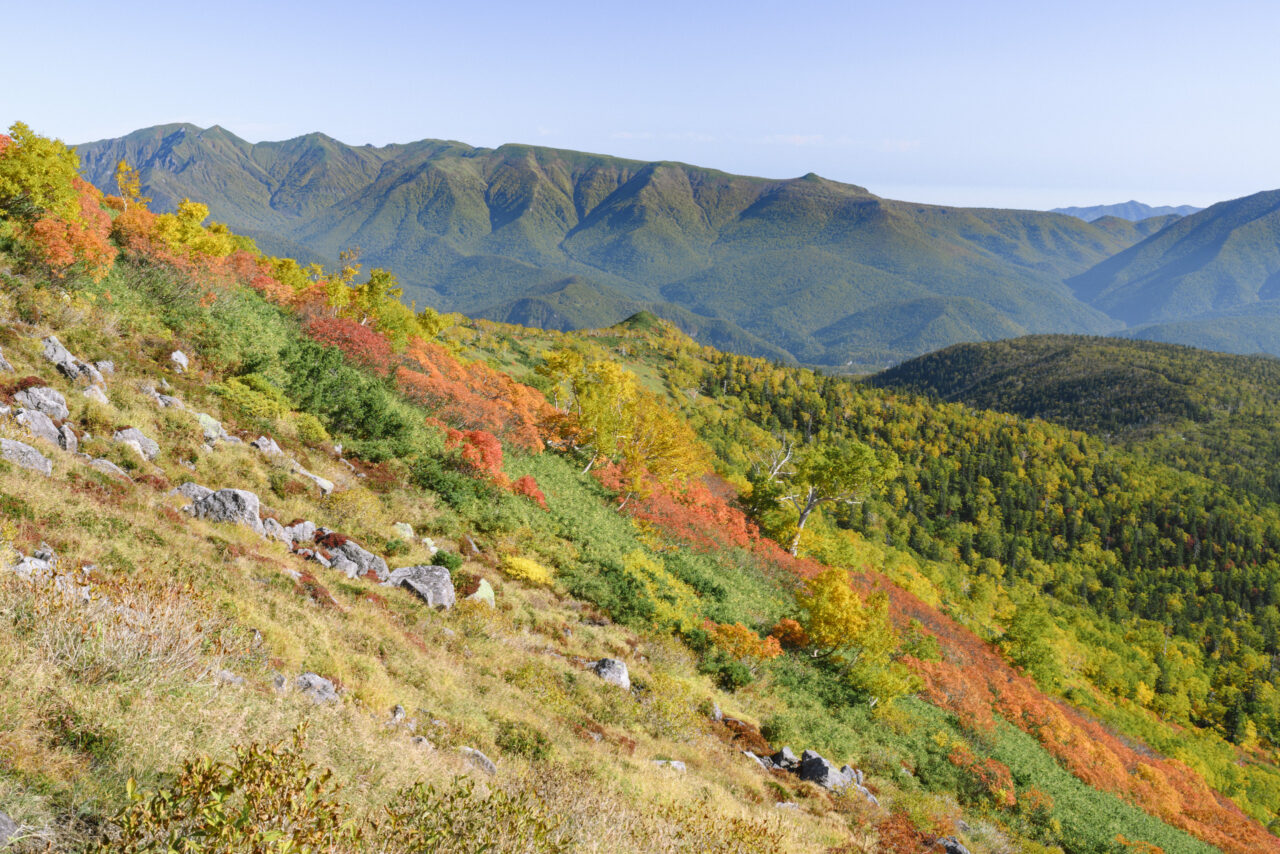ニセイカウシュッペ山の山肌を見る