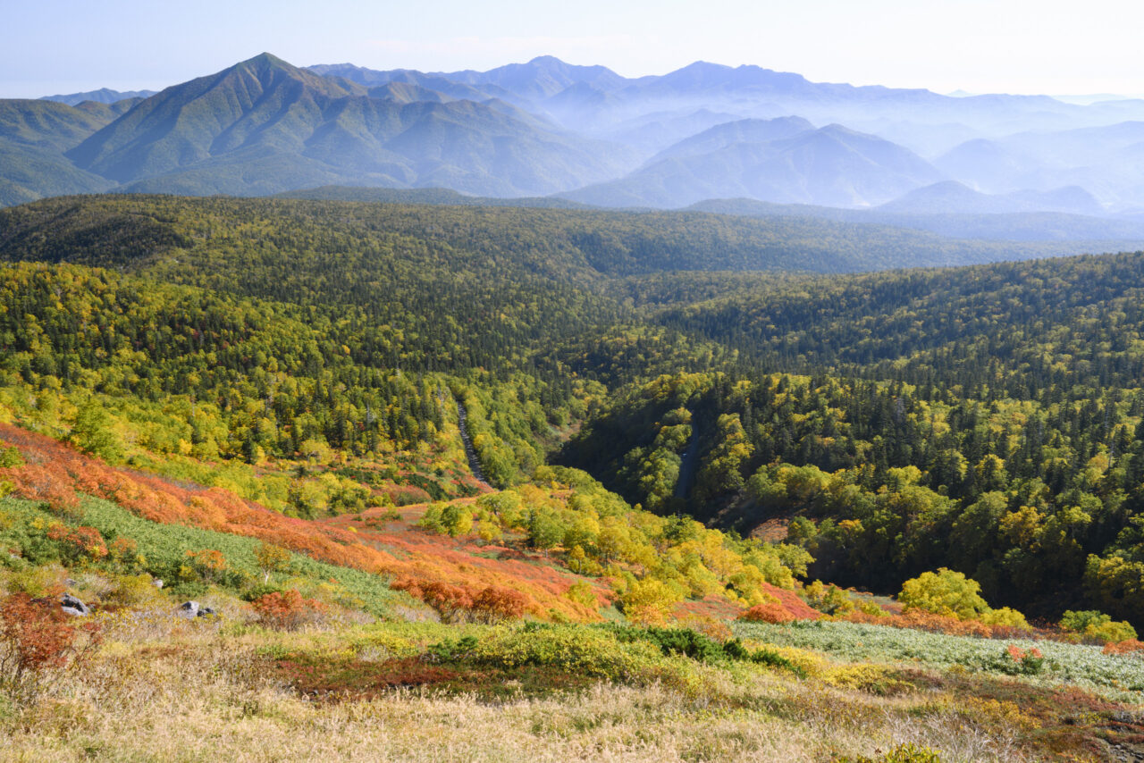 屏風岳と北大雪の森