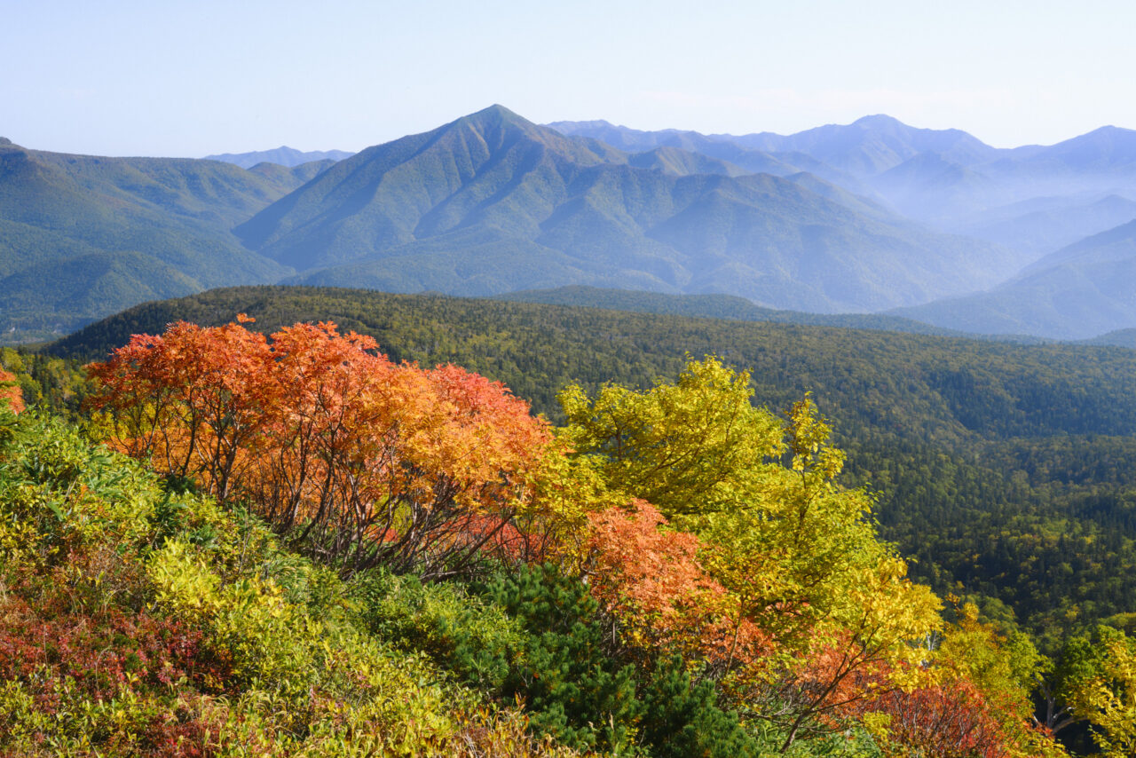 秀峰屏風岳と紅葉
