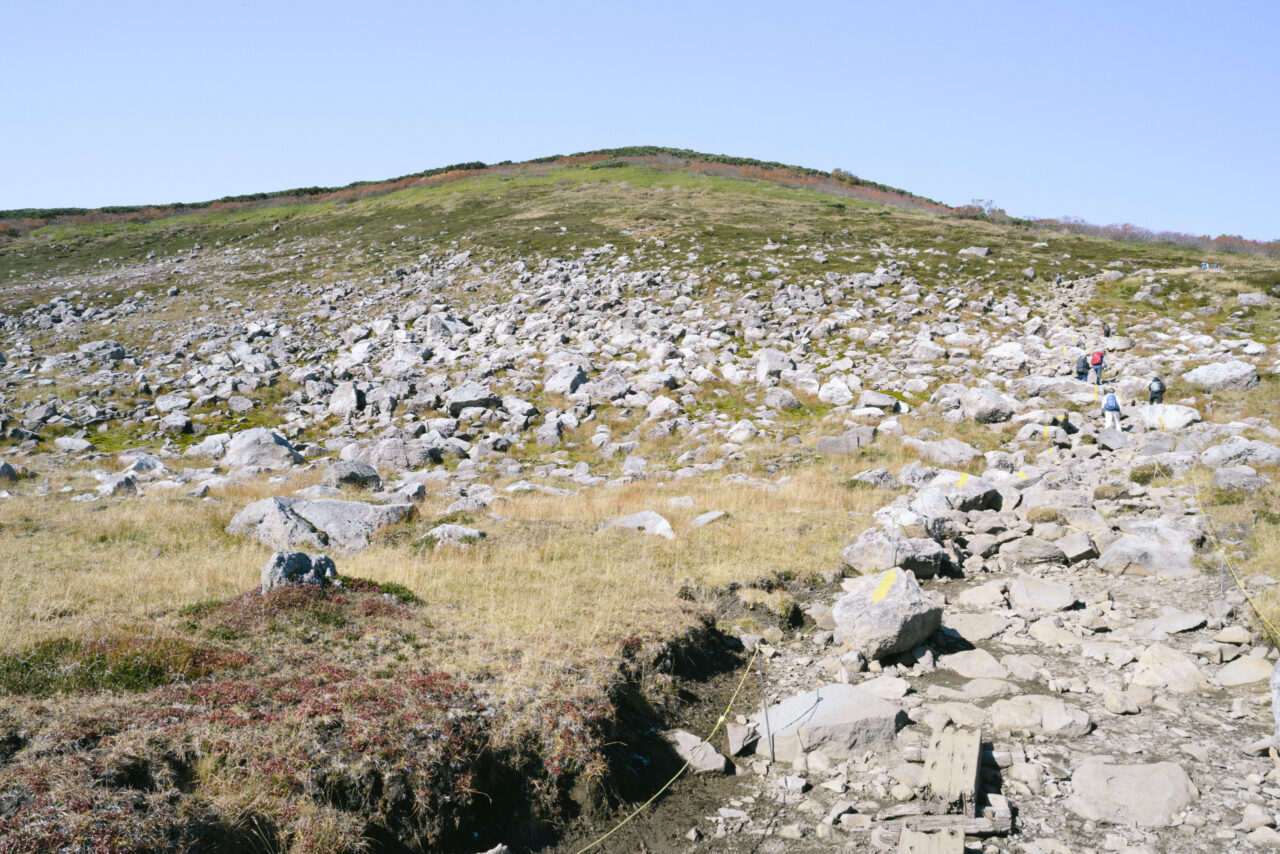 森林限界の山肌