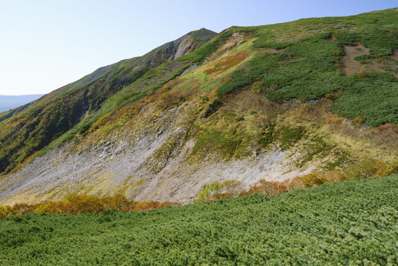 草紅葉が残る山肌