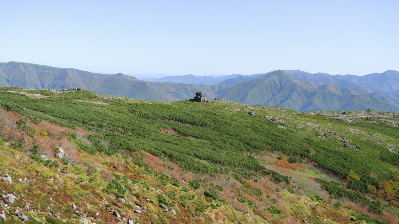 ハイマツから突き出た巨岩