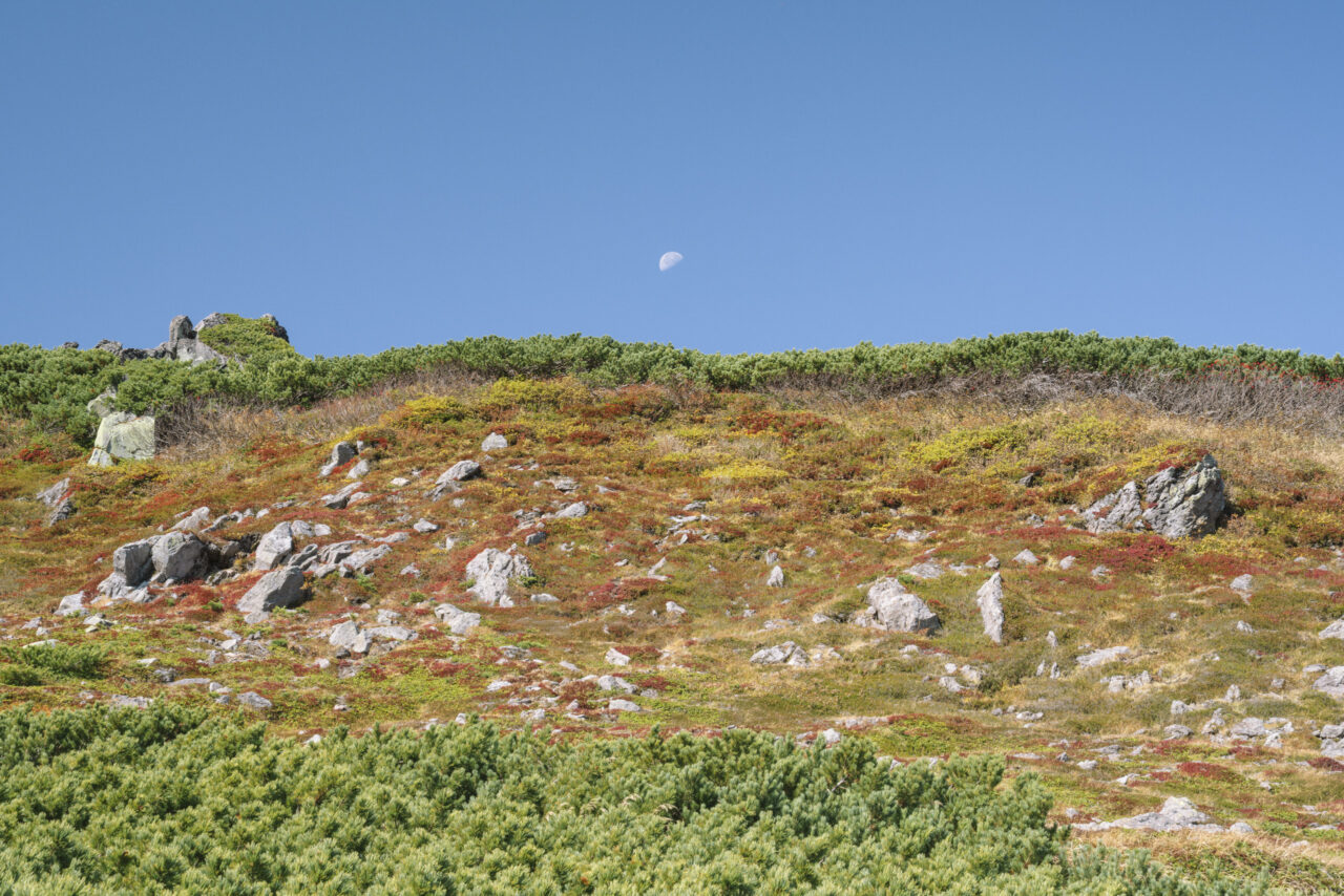 青空に浮かぶ月