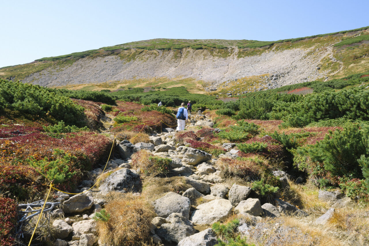 高層湿原地帯を進む登山者たち
