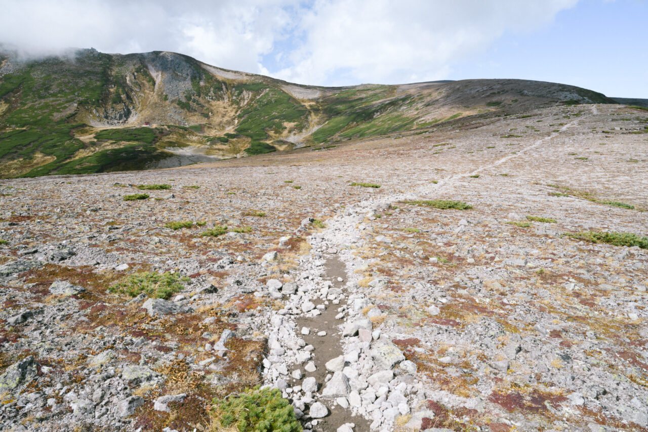 小泉岳から続く道