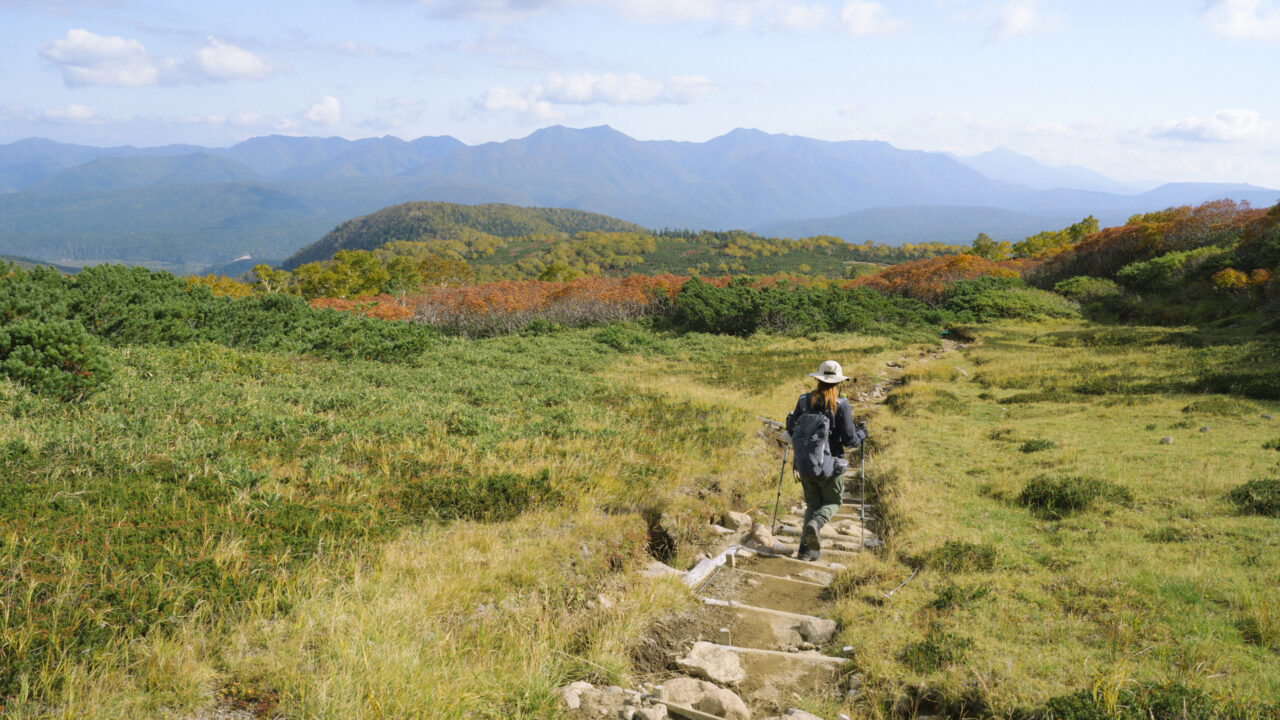 緑岳中腹の湿原地帯の紅葉