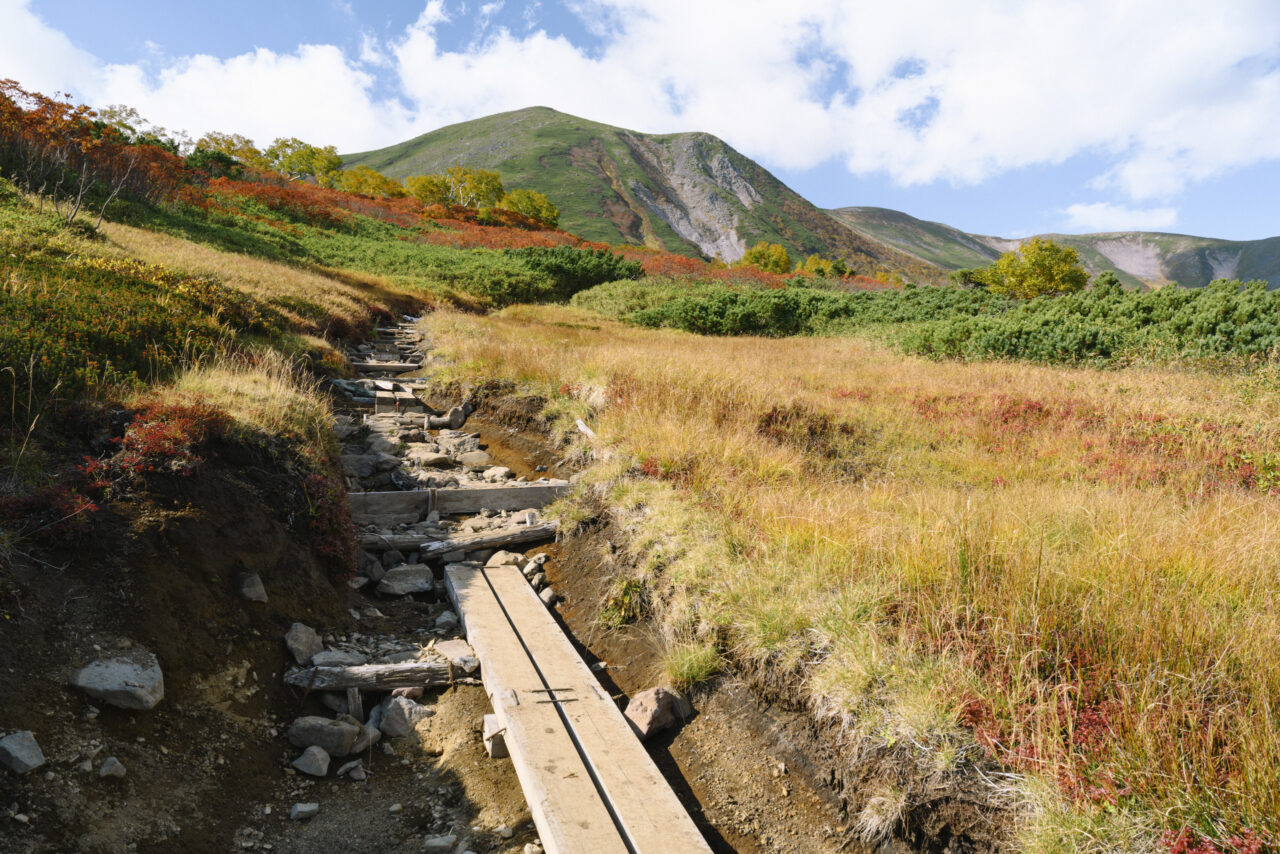 木道と緑岳