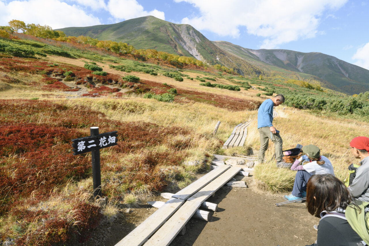 第二花畑で憩う人々
