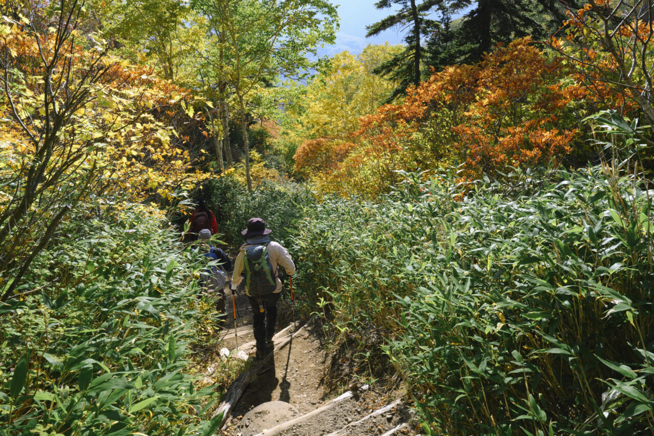 北海道の割には整備された登山道