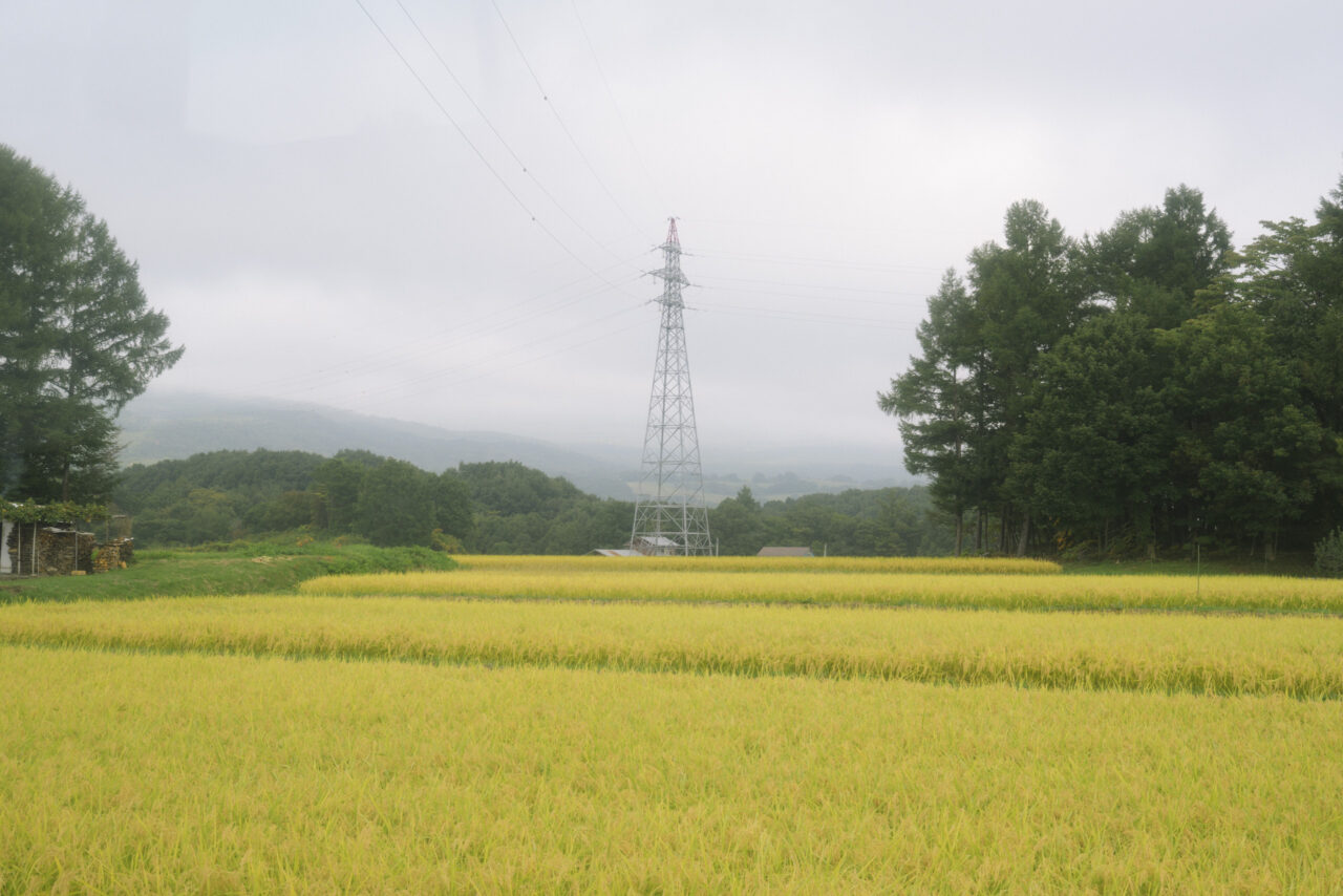 バス車内から見る景色