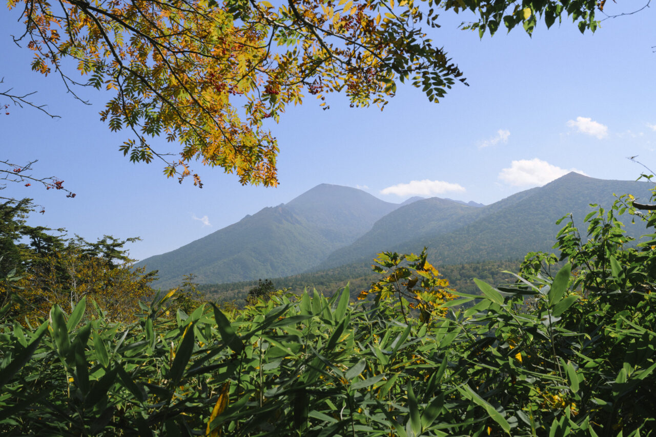 登山道から見える岩手山