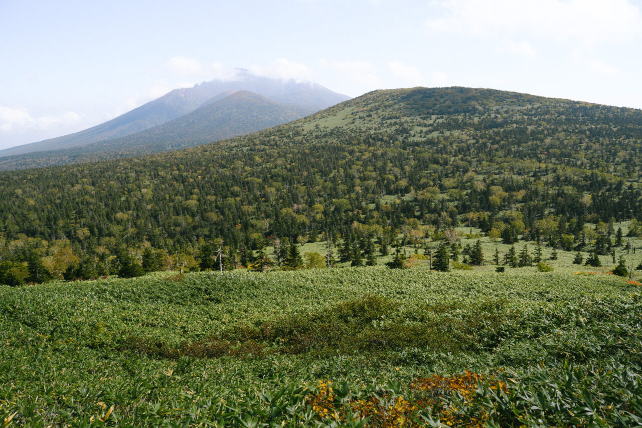 岩手山方面の稜線の眺め
