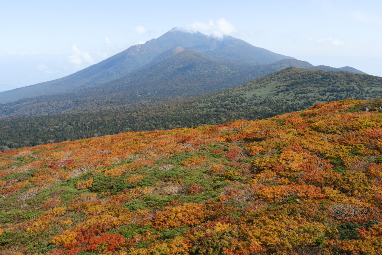 三ツ石山の真っ赤な紅葉と岩手山