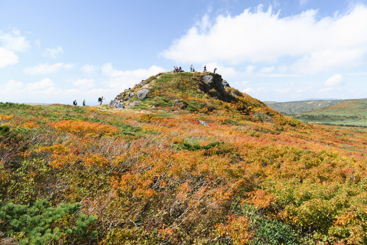 紅葉の山頂に集う人々
