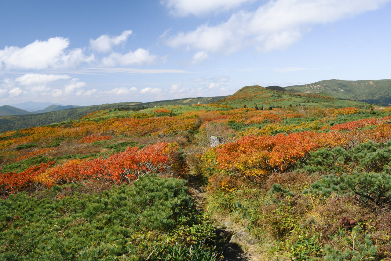 小畚山を目指して