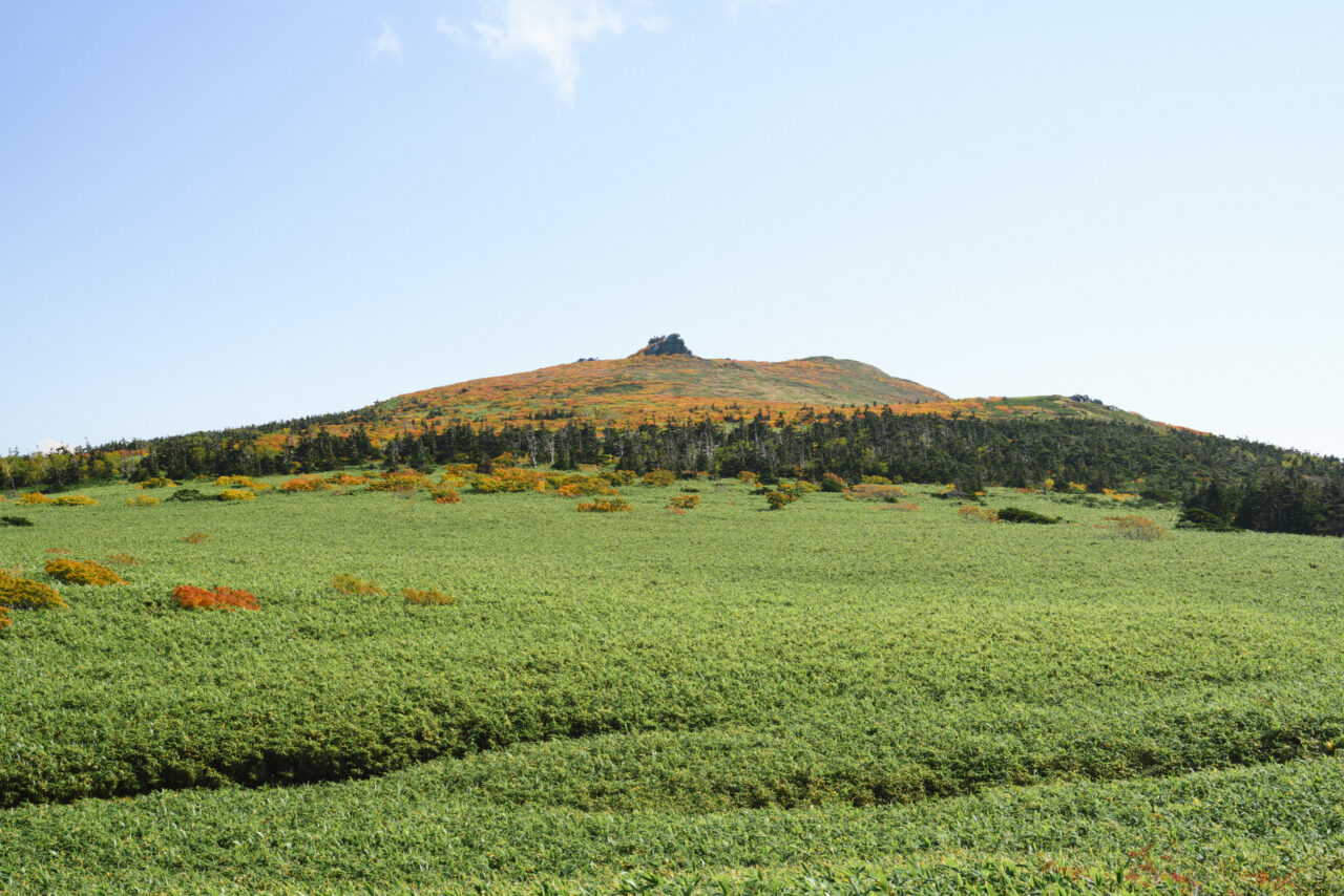 北から見返す三ツ石山山頂