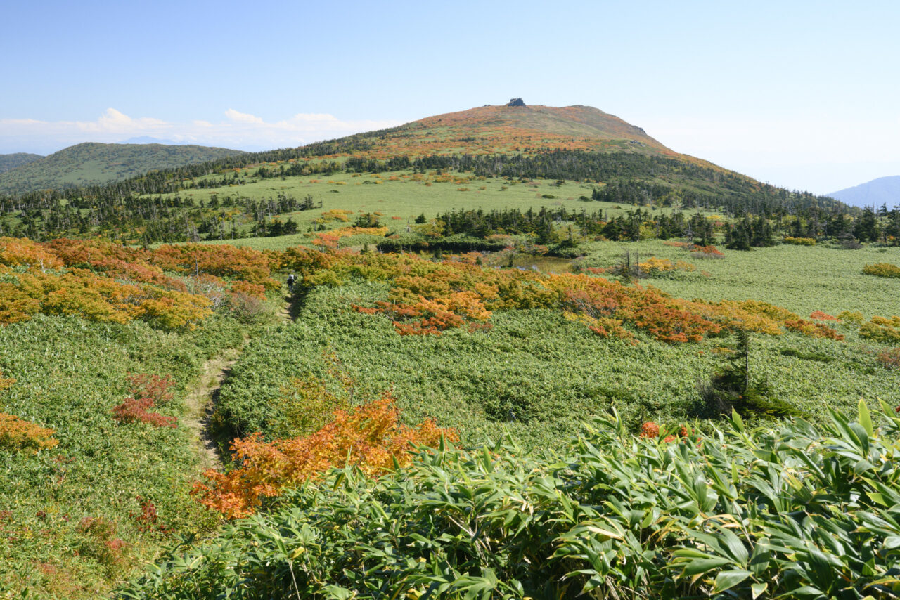 縦走路と三ツ石山