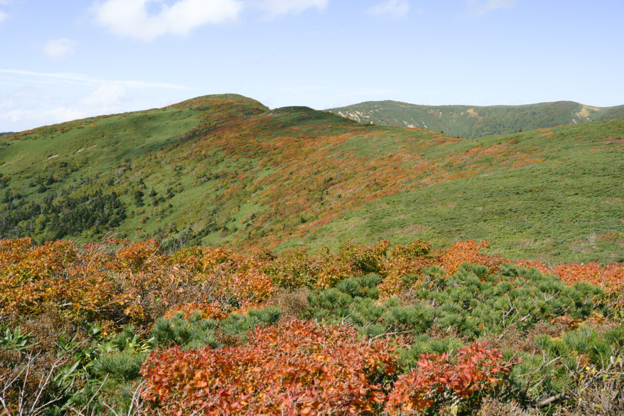 小畚山を眺める