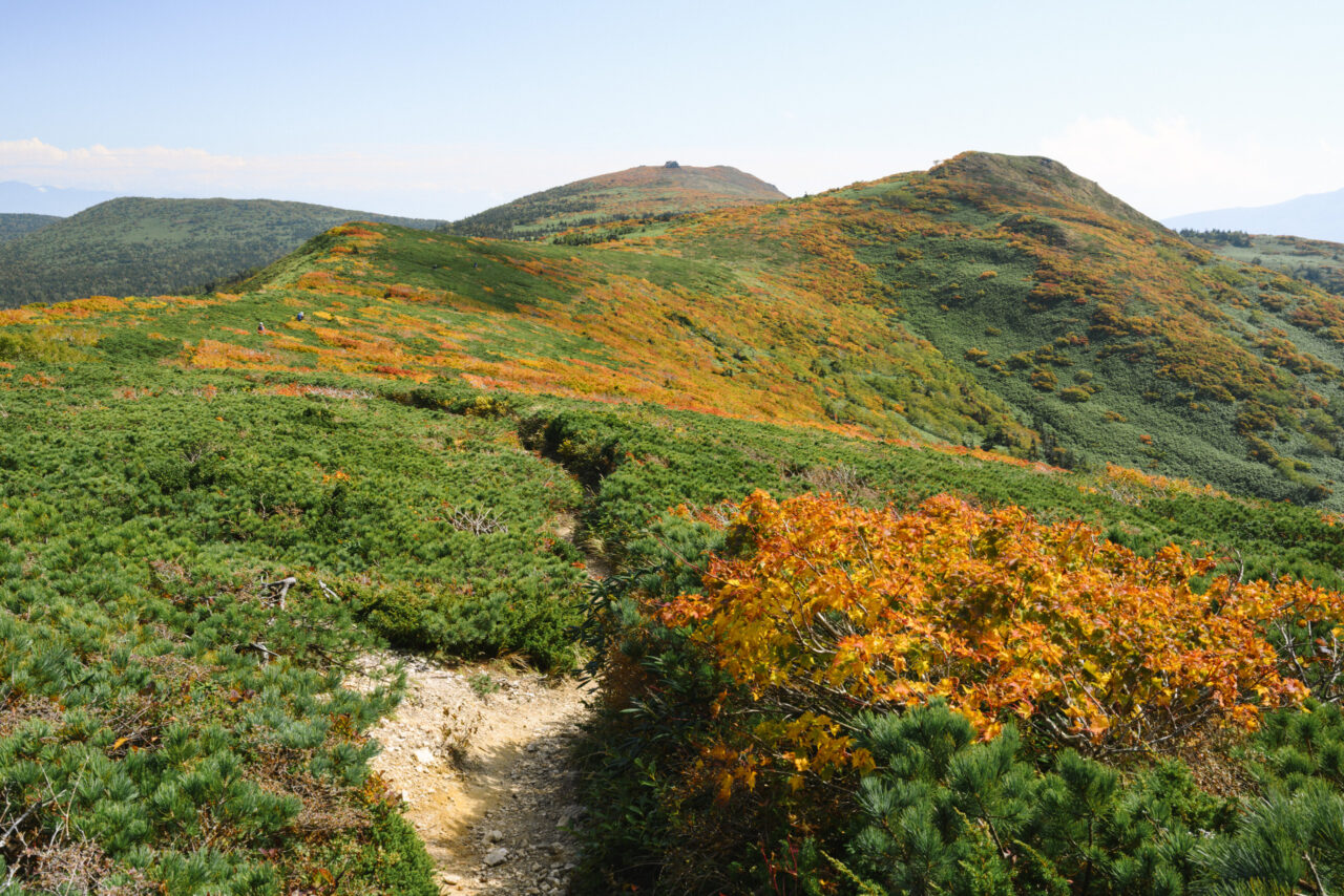 紅葉が続く裏岩手縦走路