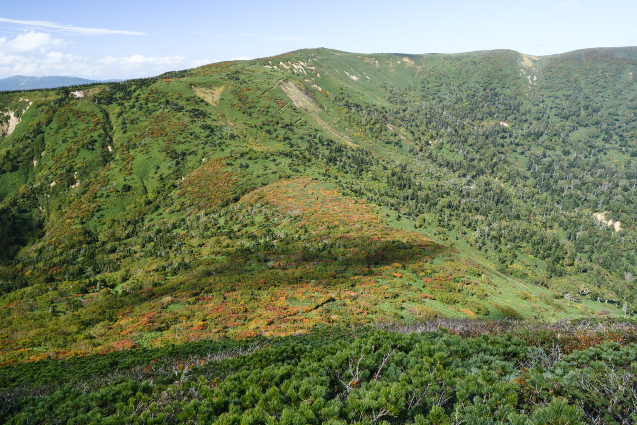 大深岳前の鞍部