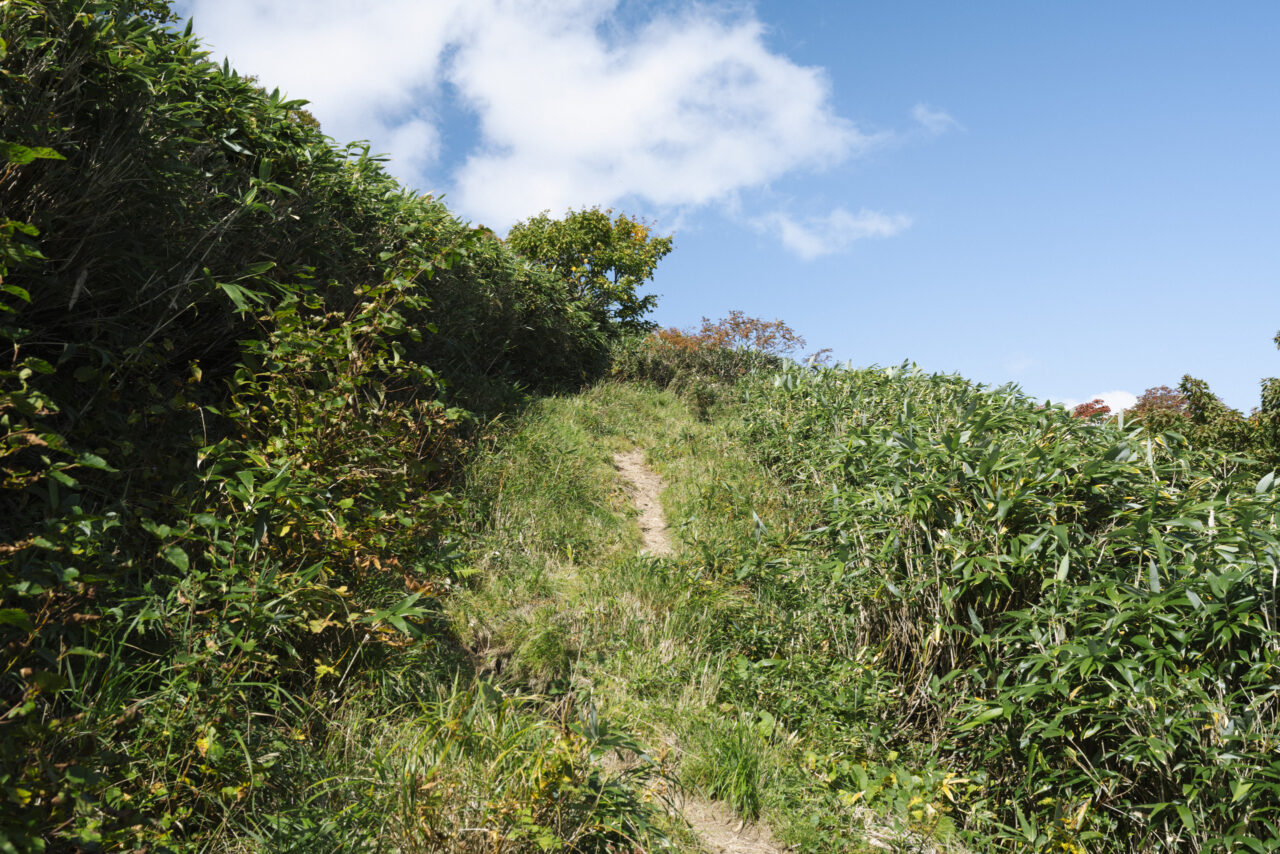 大深岳への登り坂