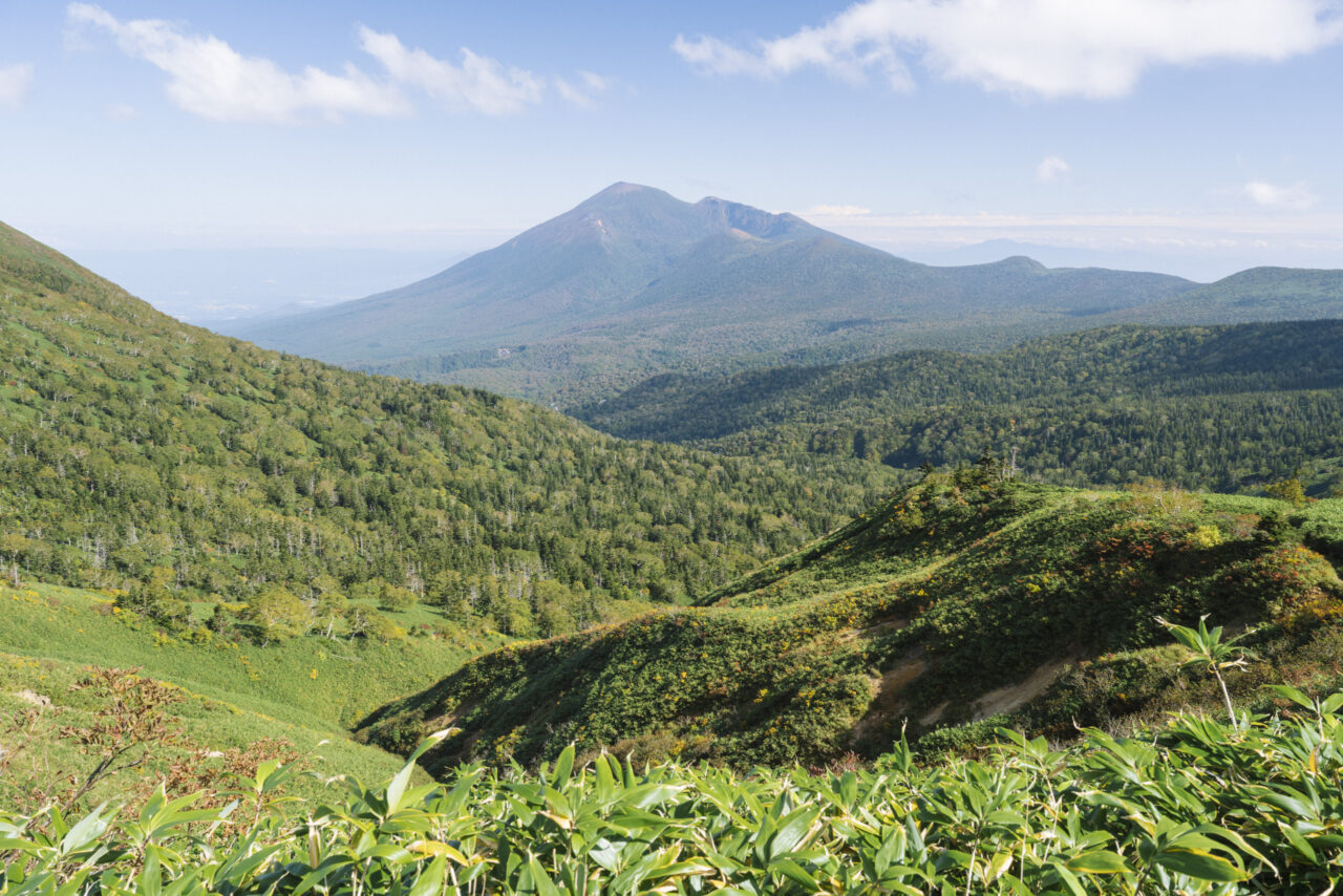 大深岳から見る岩手山