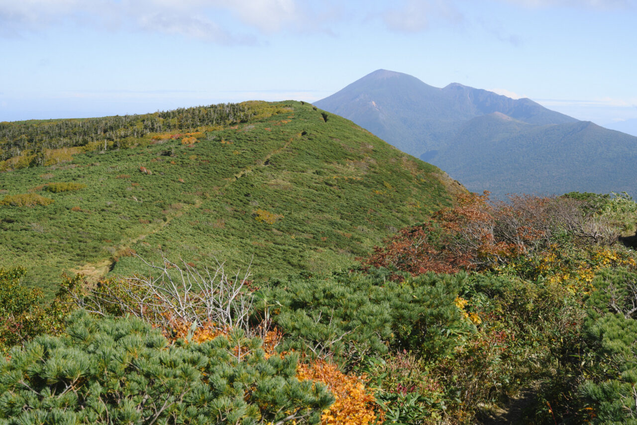 源太ヶ岳への道