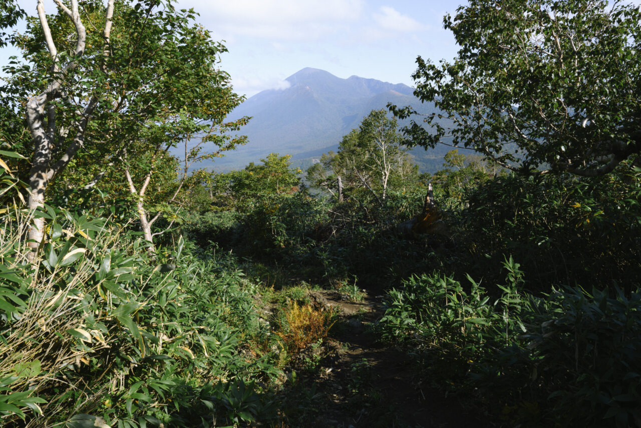 源太ヶ岳から樹林帯へ