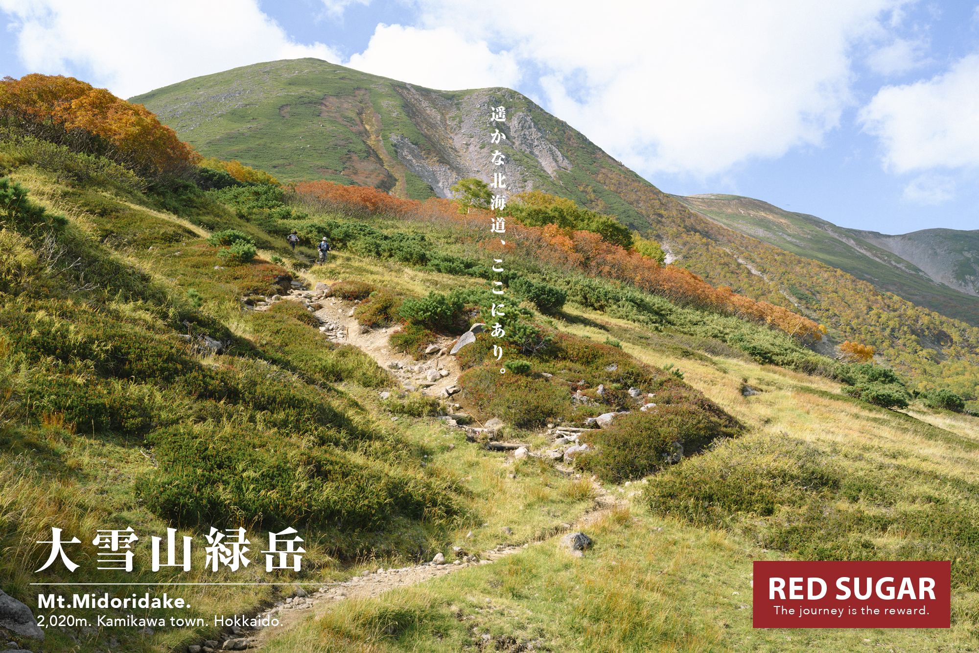 第二花畑から見る紅葉の緑岳