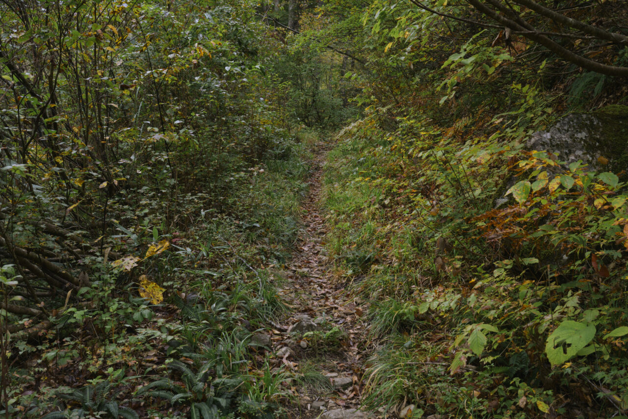 三吉ミチギへ続く登山道