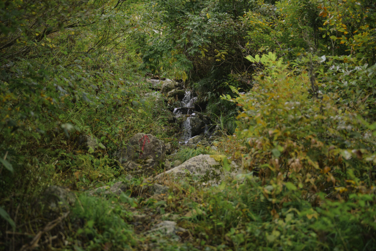 川沿いに続く道