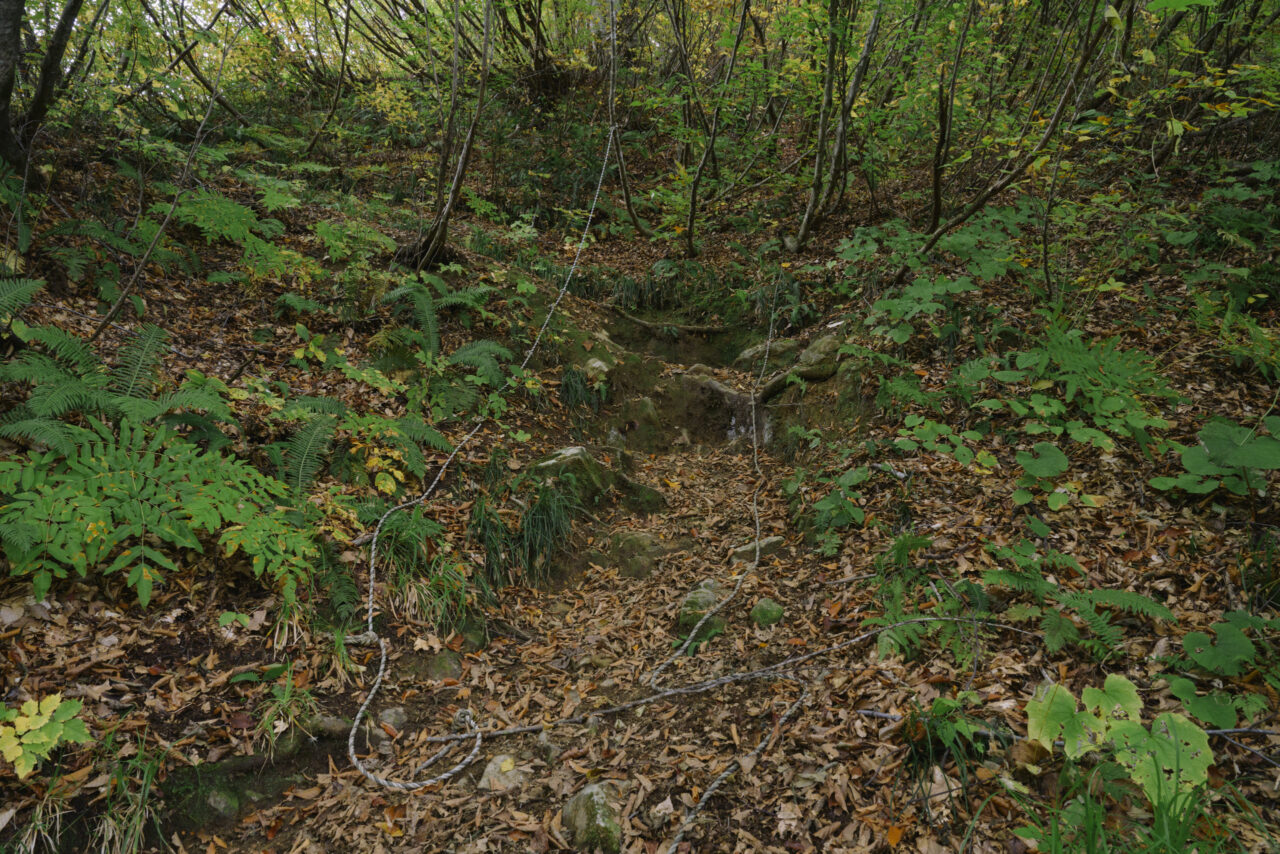 トラロープが下がる道