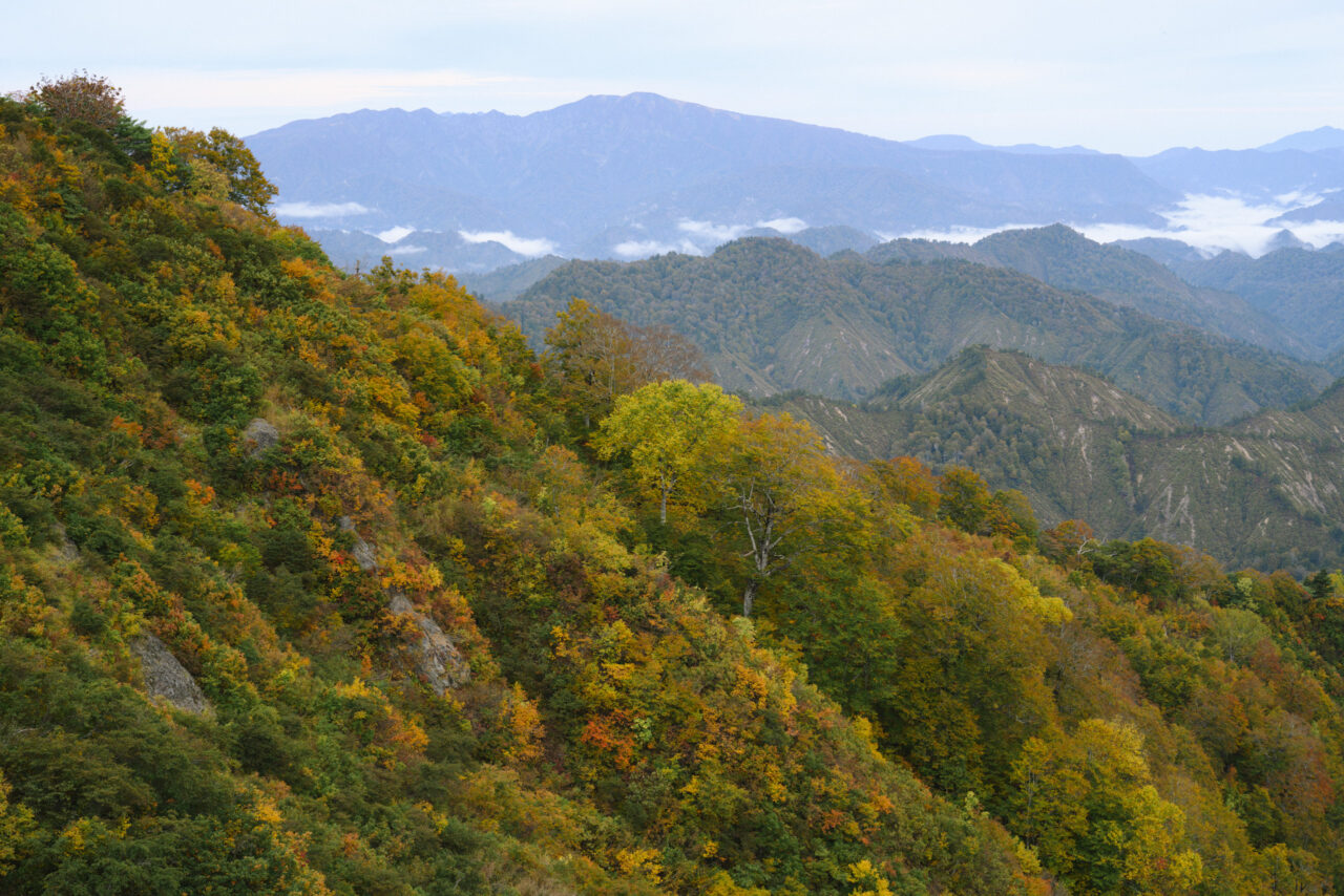浅草岳方面の眺め