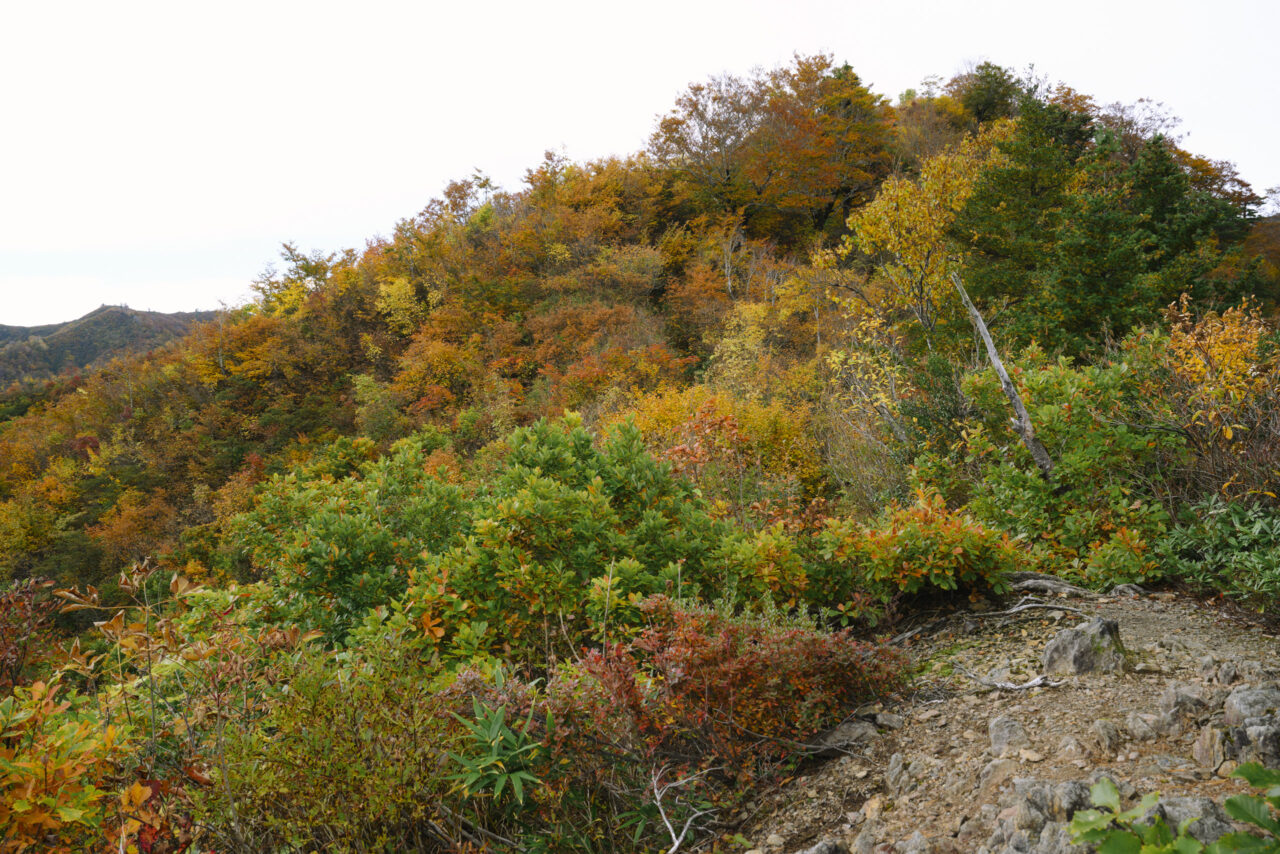叶の高手方面へ