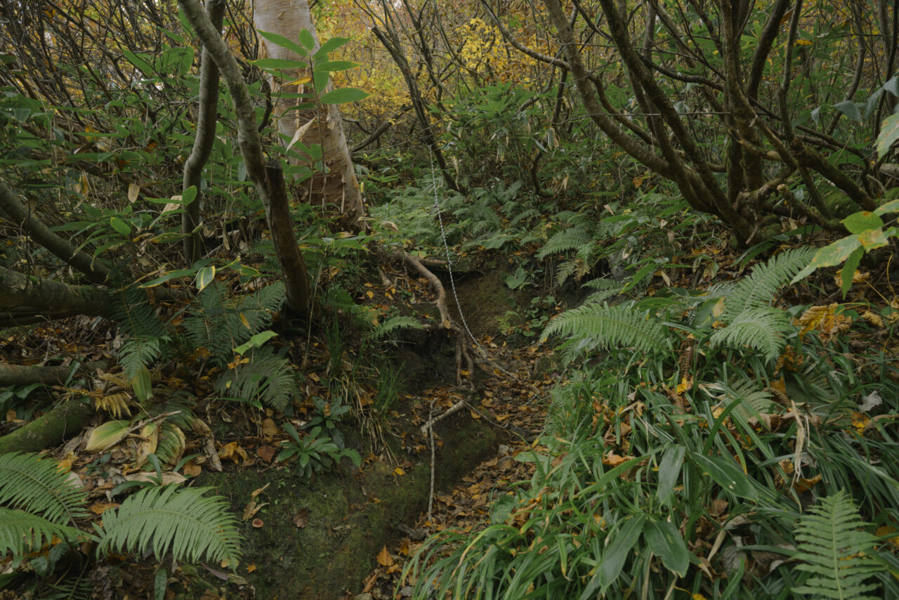 ロープが下がる険しい道