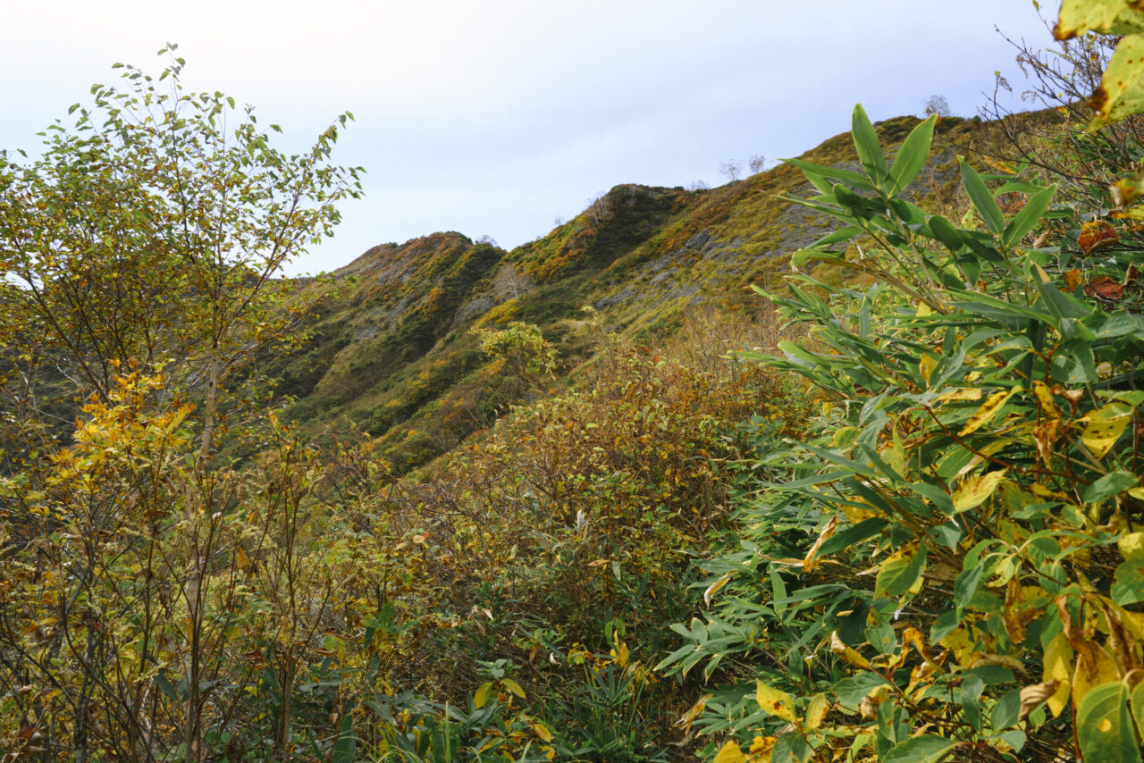 会津朝日岳稜線を仰ぎ見る