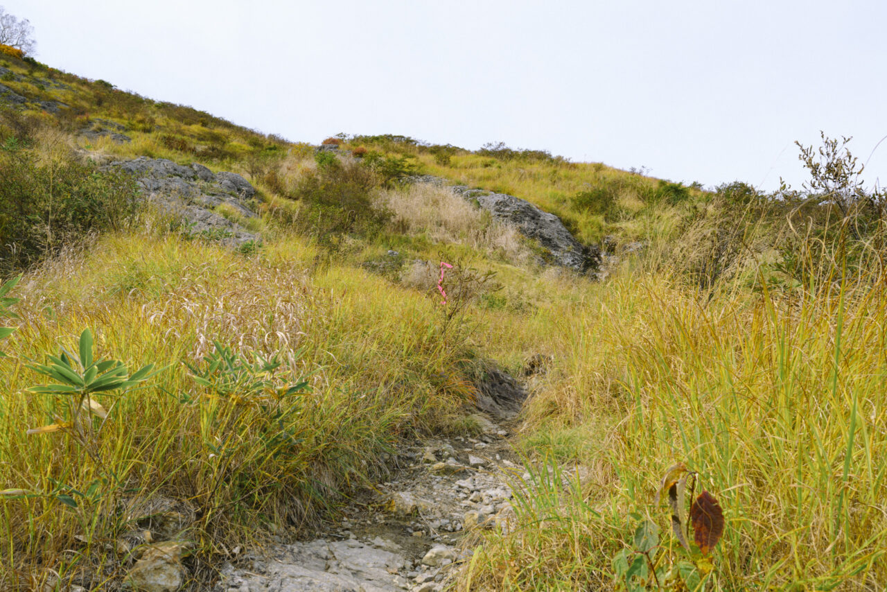 会津朝日岳山頂へ向かう