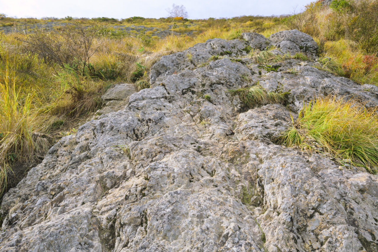 グリーンタフが露出した山肌