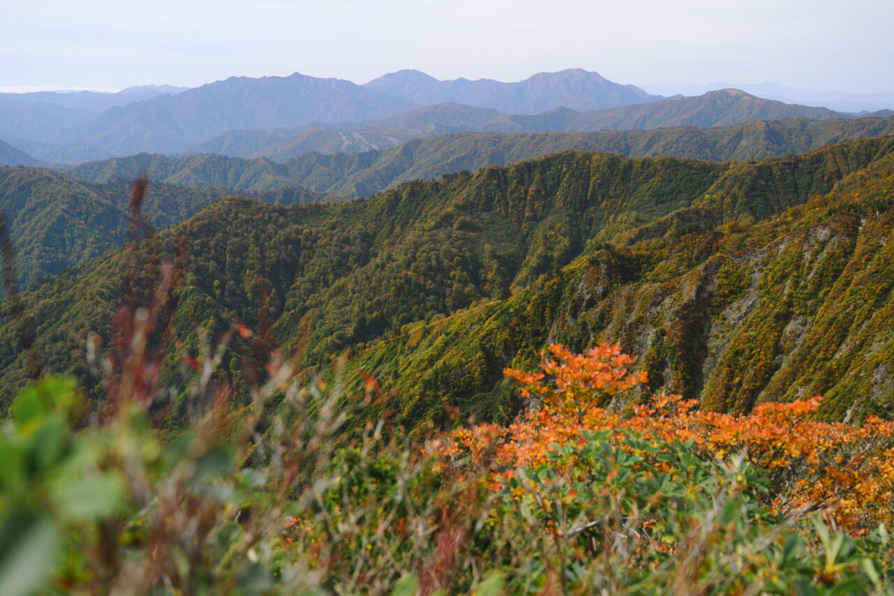 会津朝日岳からみる越後三山