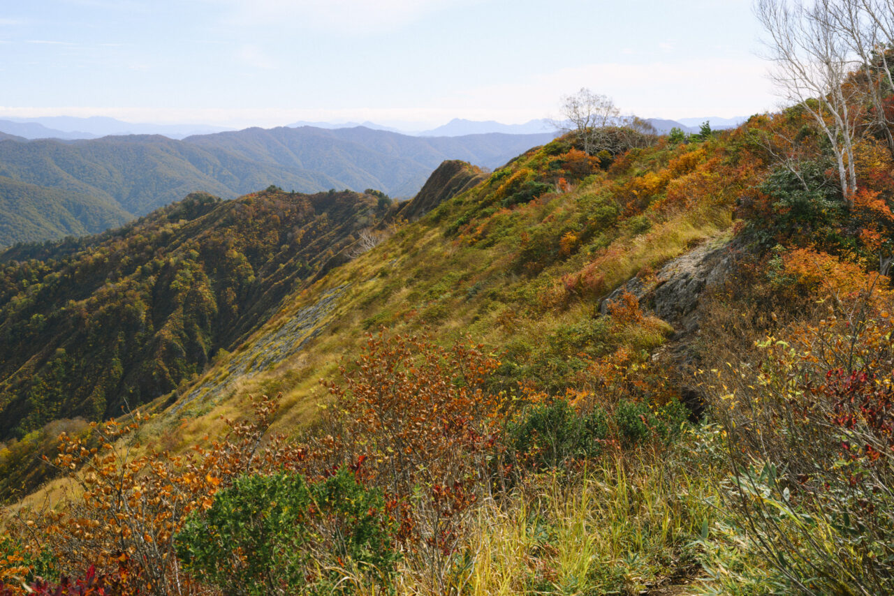 山頂の紅葉