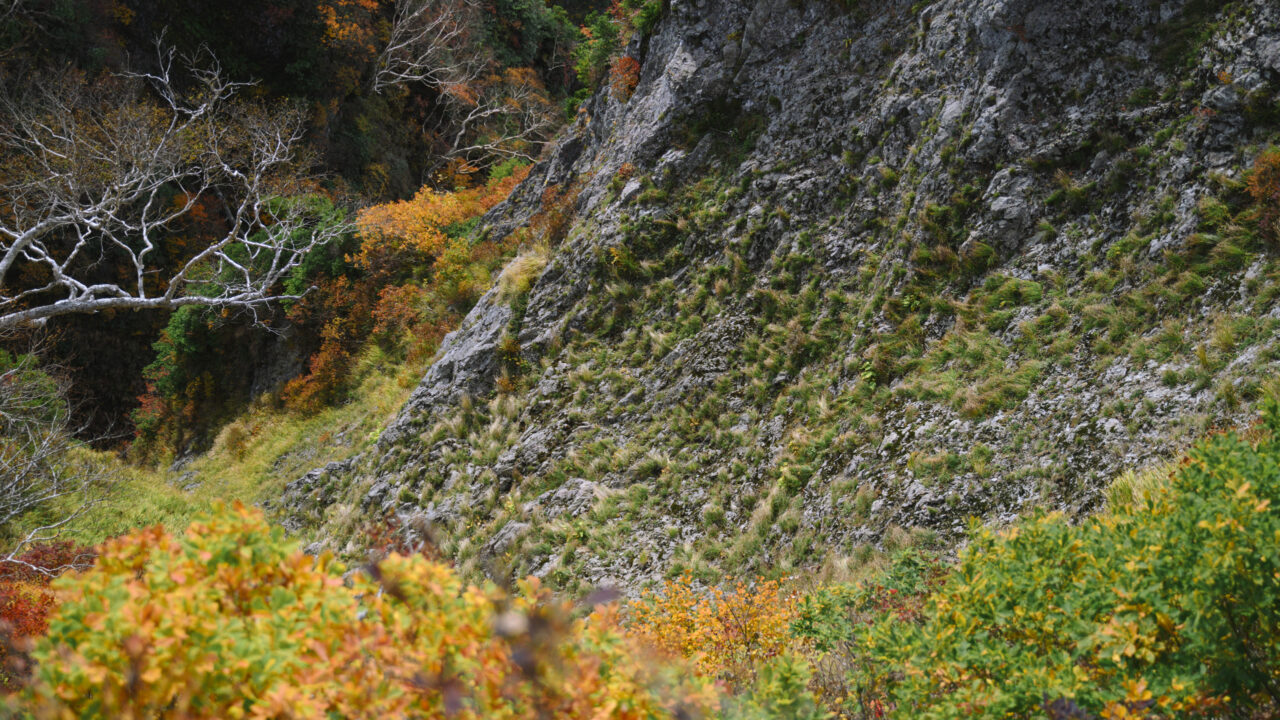 緑色凝灰岩の山肌