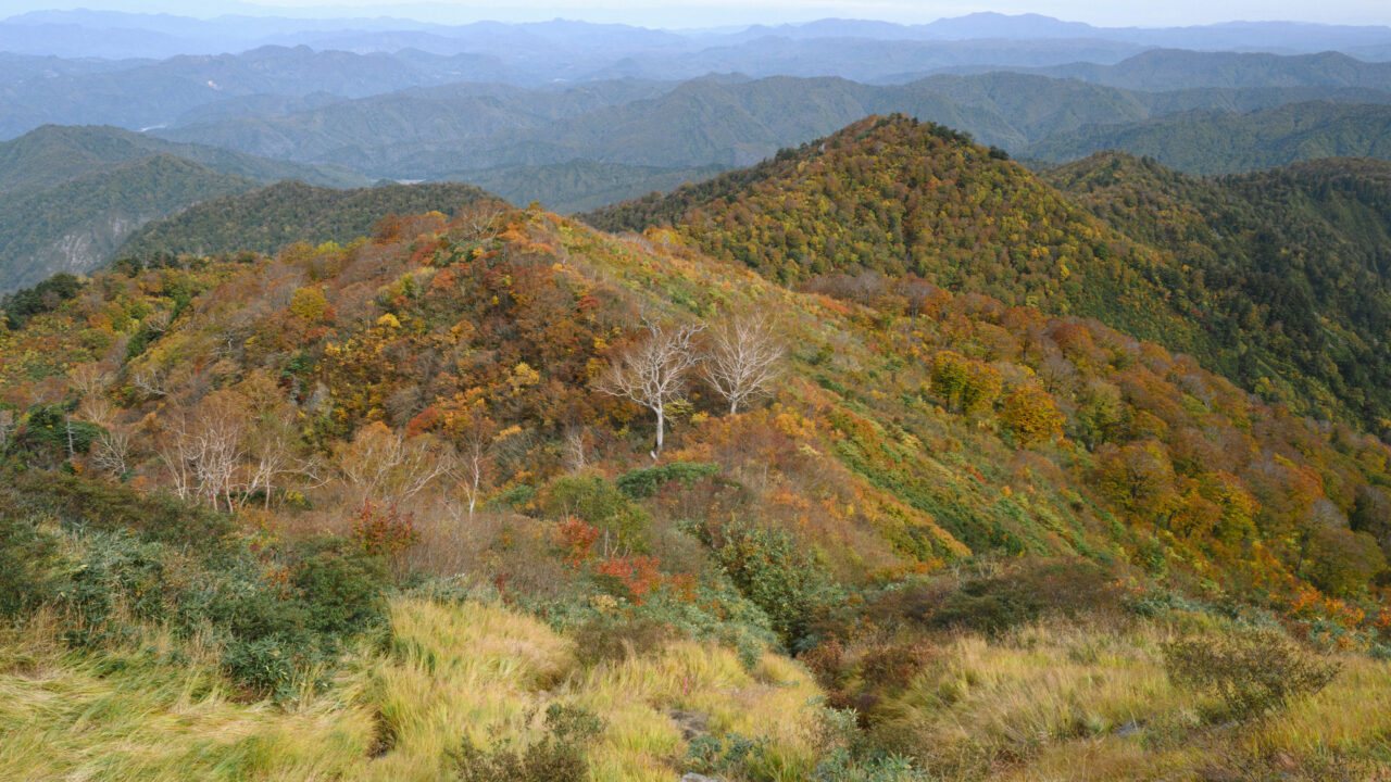 会津朝日岳一帯の紅葉を見下ろす