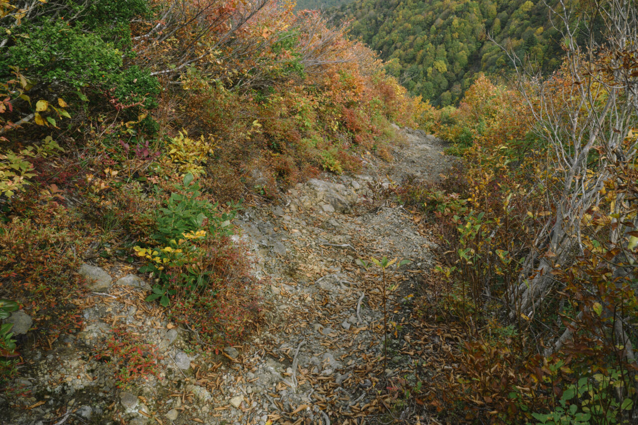 急峻な下り坂を降りる