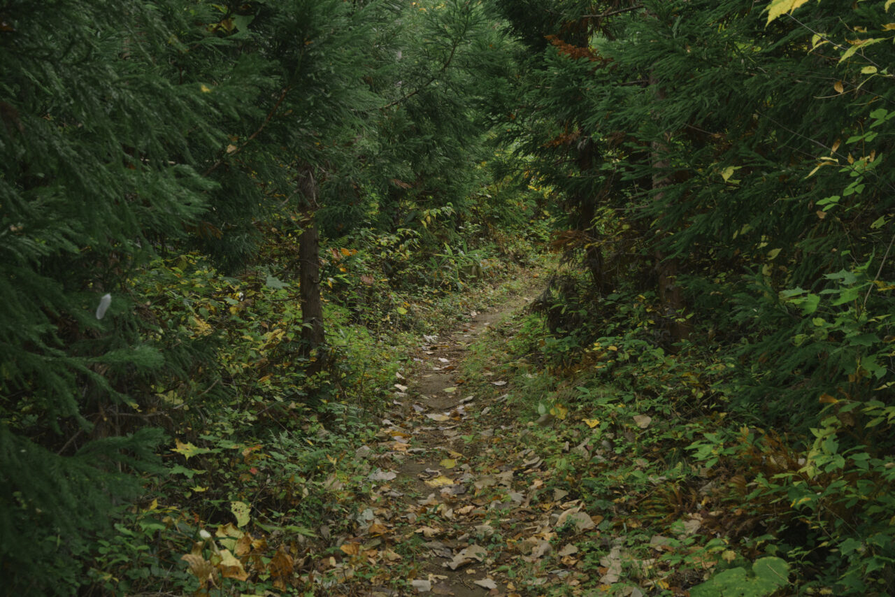 瀧山登山道入り口