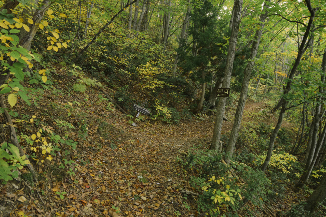 宝沢地区古道方面への分岐点