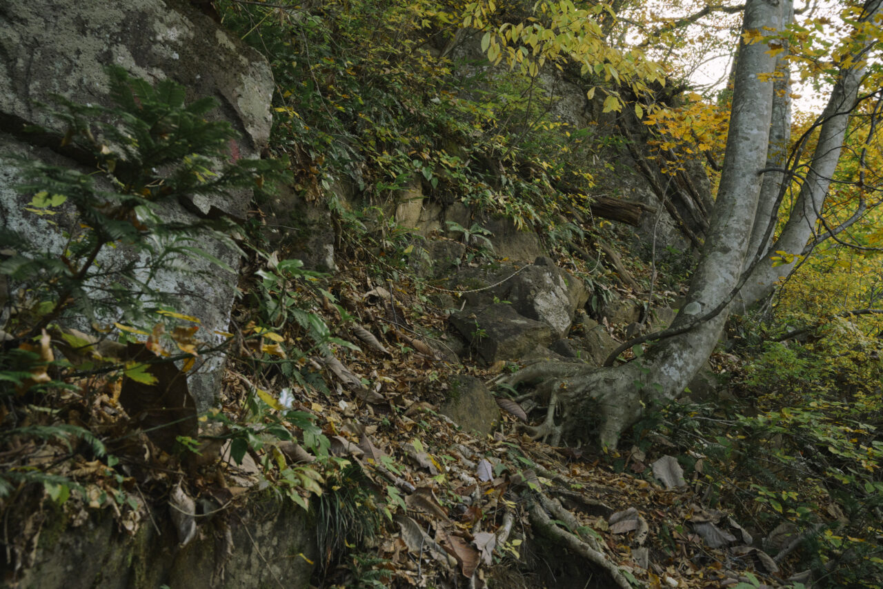 前滝コース入口へ