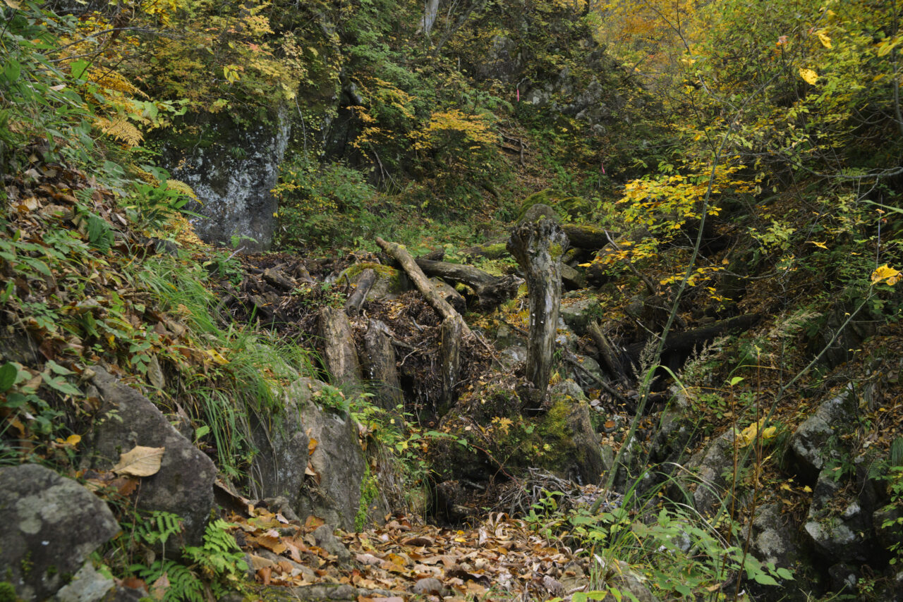荒れ果てた登山道